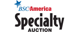 Clayton Station Auto Auction